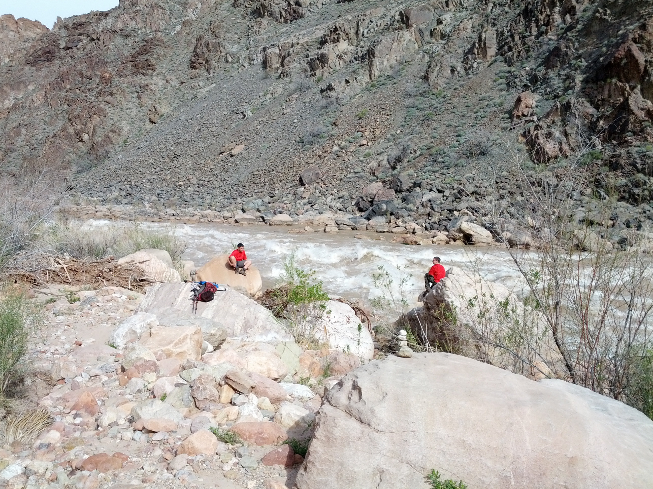 IMG_20130315_095206.jpg